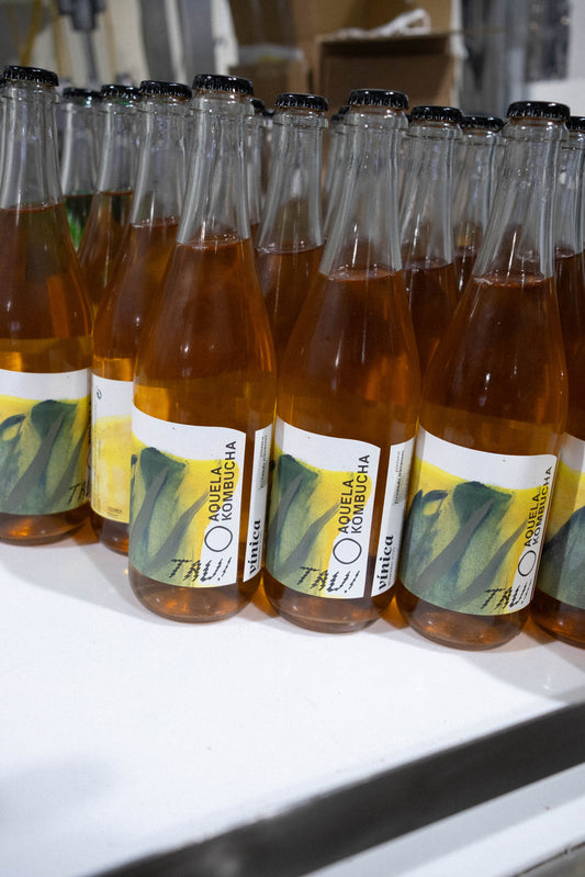 Viníca is one of those things life brings