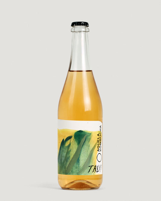Kombucha Vínica - Alvarinho (White)