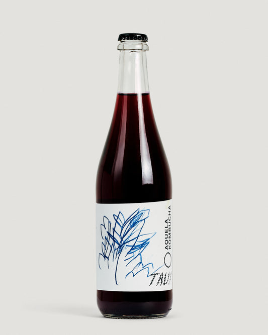 Kombucha Vínica - Vinhão (Red)